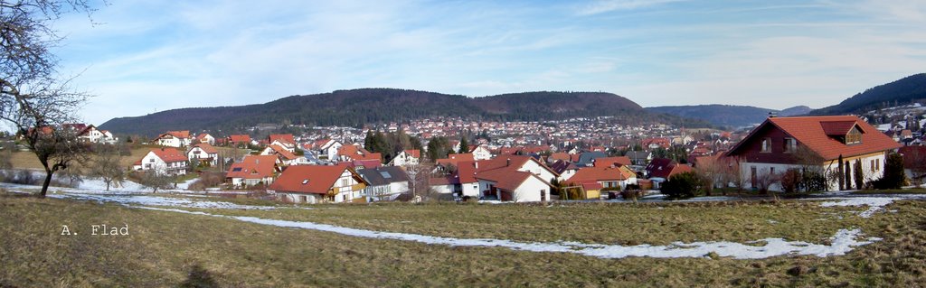 Frühlingsanfang in Wehingen by A.Flad