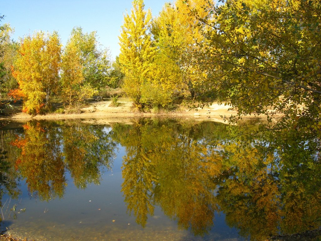 Herbst am Wienerberg (25.10.09) by e.m.r. 2 - a picture a day