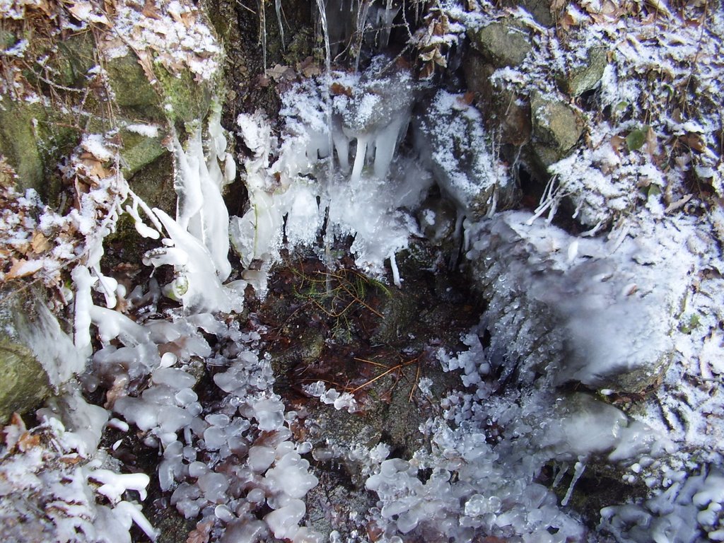 Studánka v zimě by Josef Drda