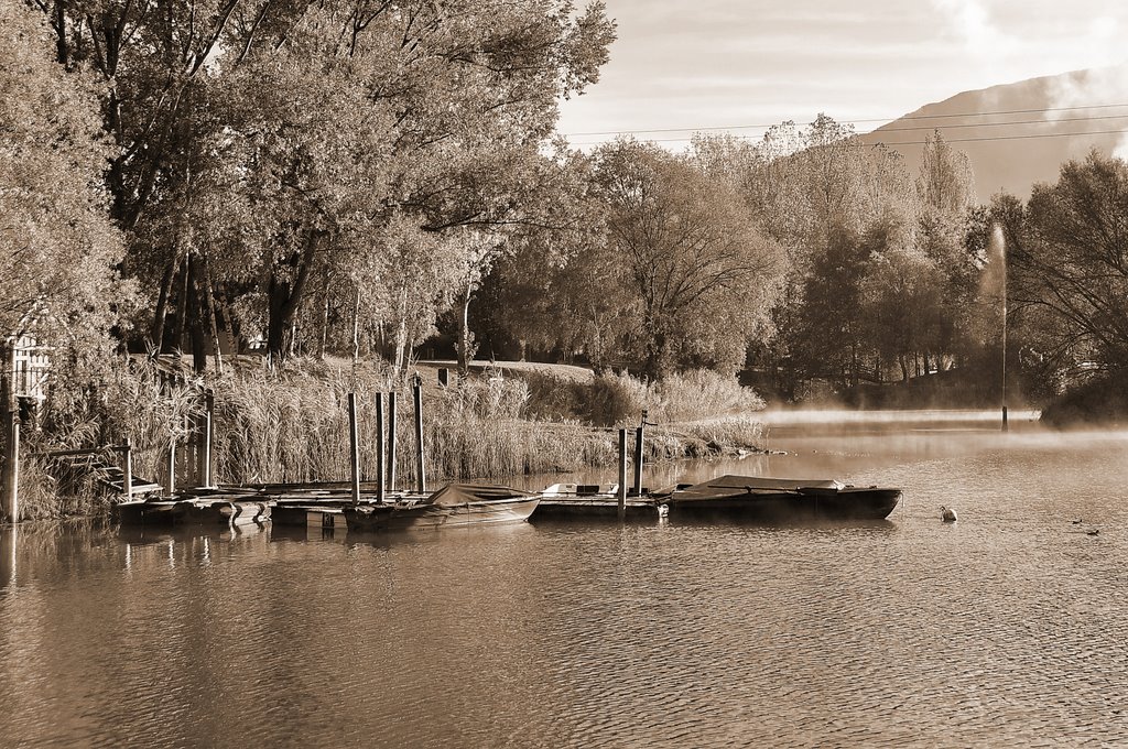 Les Bateaux by Arnie499