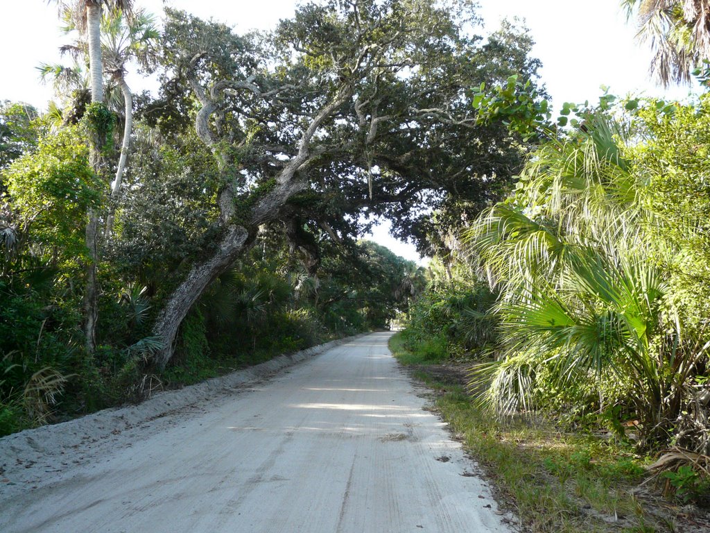 Entering Pelican Island National Wildlife Refuge by Joanne Wilson