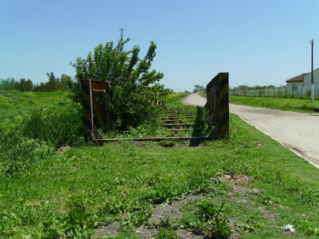 Estructura del puente de la ruta provincial 210, abandonado - FCGMB by Ariel Sebastián Becker