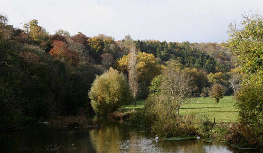 River Stour At Blandford by Baczyńska Hanna