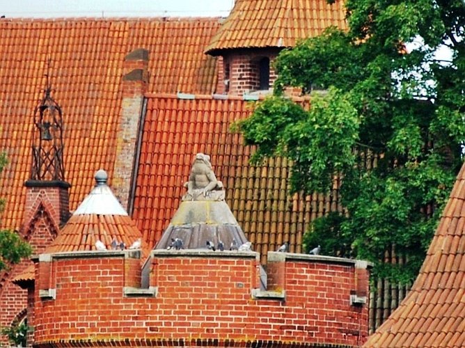 Gdańsk - wyprawa "Ikarusem" na Żuławy - powrót - Malbork - zamek pokrzyżacki... zaczarowany kamień, czy zaklęty w żabę królewicz? :) by AnnaJolanta 2