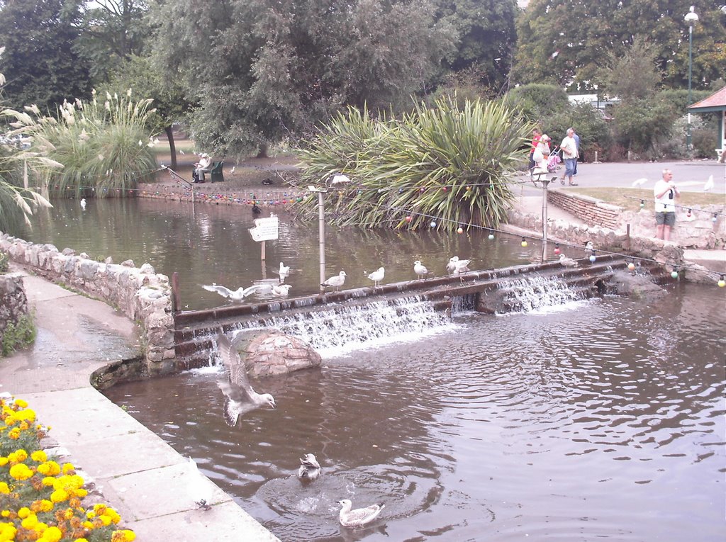 Dawlish by Neil Pinch