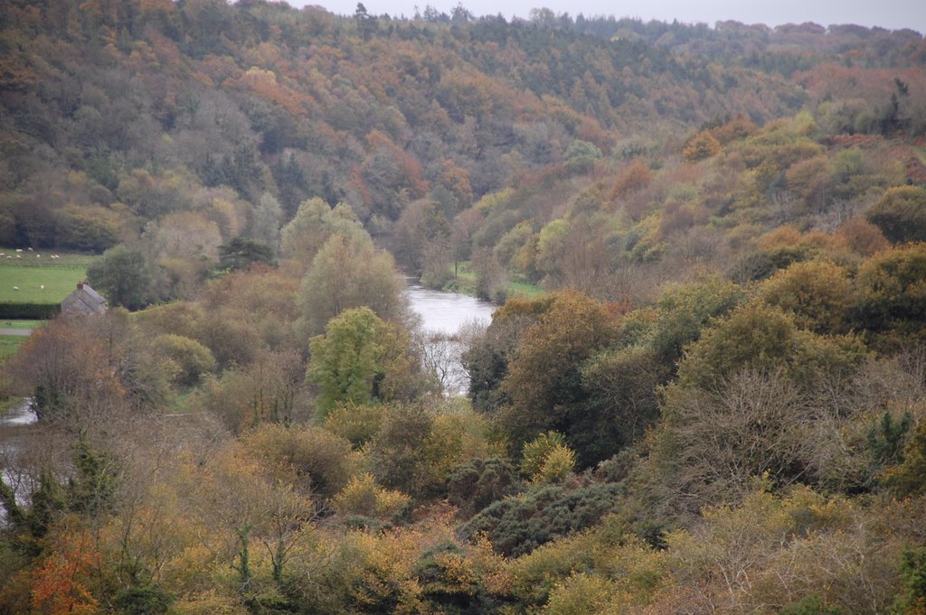 Autumn around Graiguenamanagh by © Tom Walsh