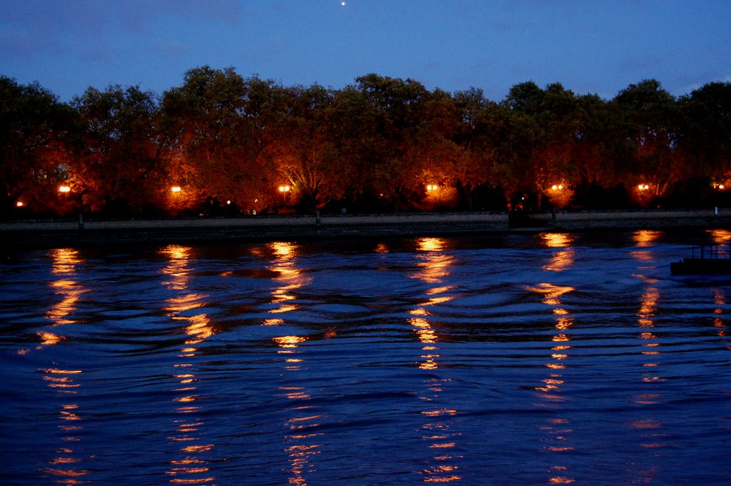 Dancing Lights at Dusk on the Thames at Putney by Amelia Royan