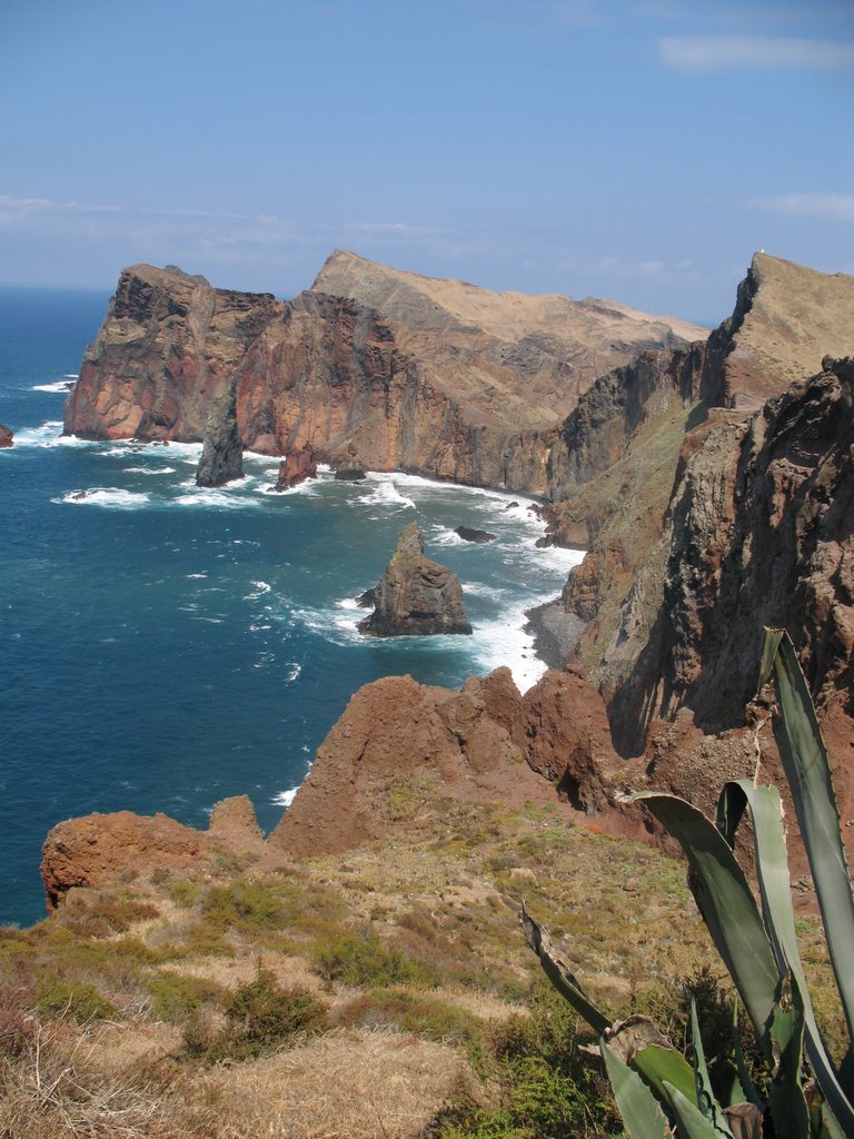 Madeira Coast by F. Nogueira