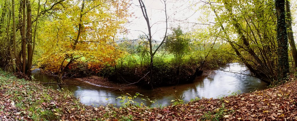 Herbstlicher Bachlauf - Panorama by Strucki