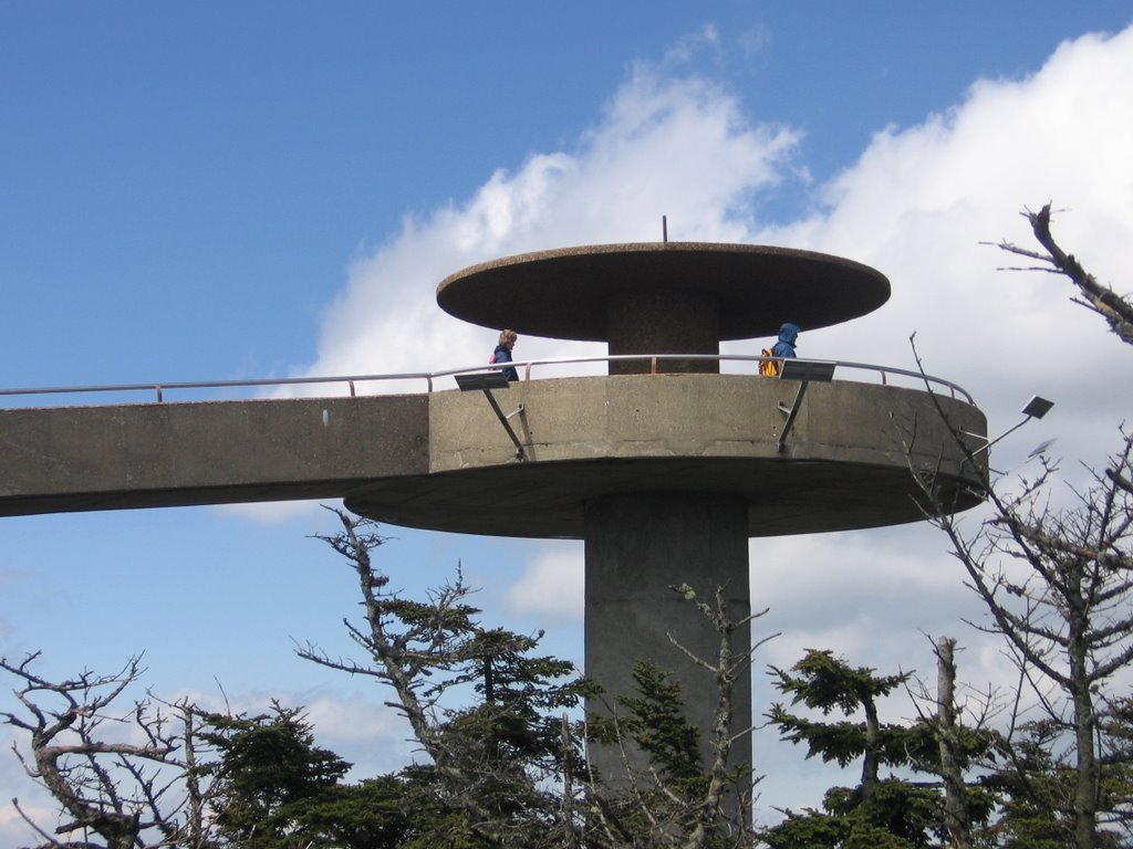 Clingman's Dome by ahmoo