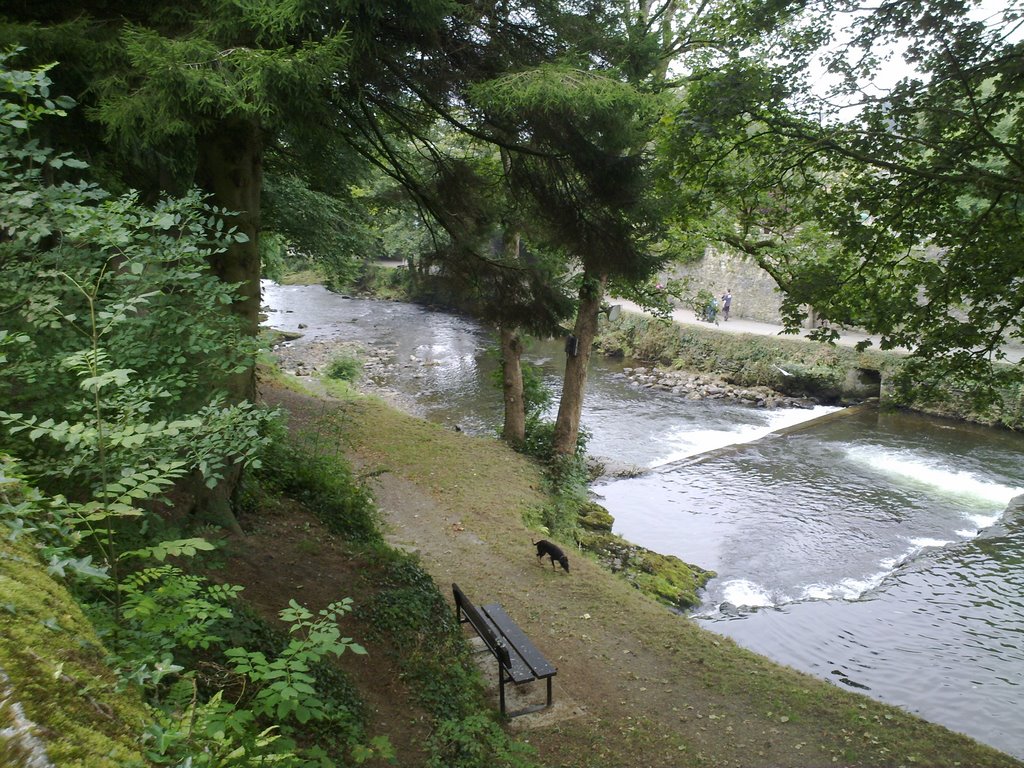 Tavistock river by wilson662