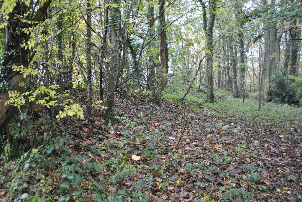 Bevisbury Camp by ian freeman