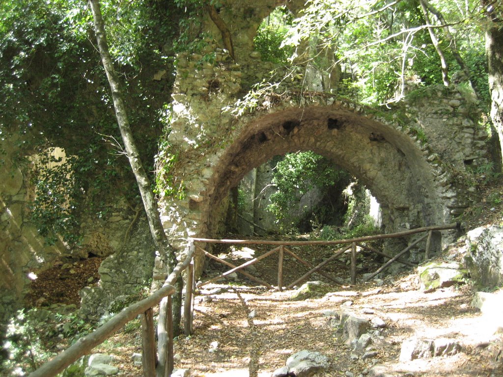 Arch in the Woods - Valle de Mulini by wambam23