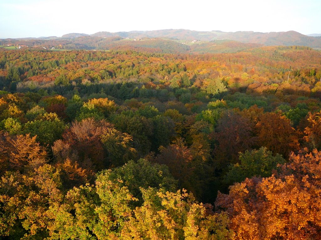 Blick vom Eichbergturm bei Emmendingen Richtung Freiamt by M.Böcherer