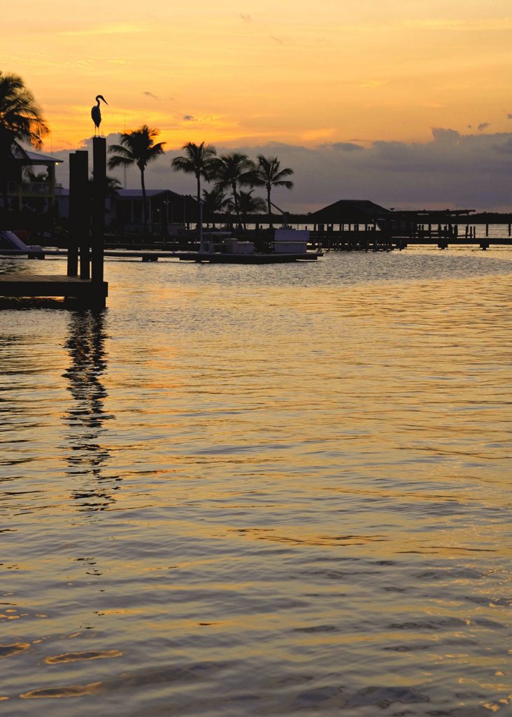 Sunset, Florida Bay Club by Jackie Radford