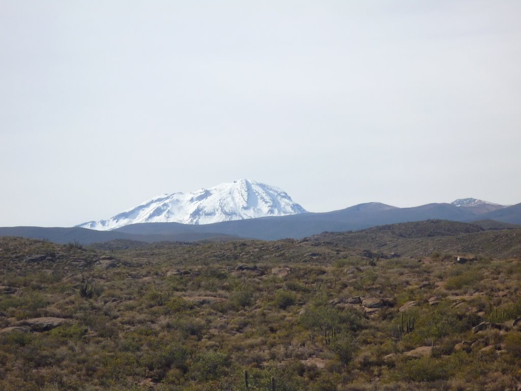 NEVADO SEL SARA SARA by ENVER ORTIZ LÓPEZ