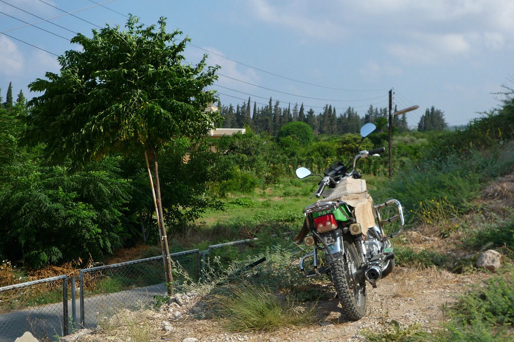 Local motor - Ugarit, Syria by T NL