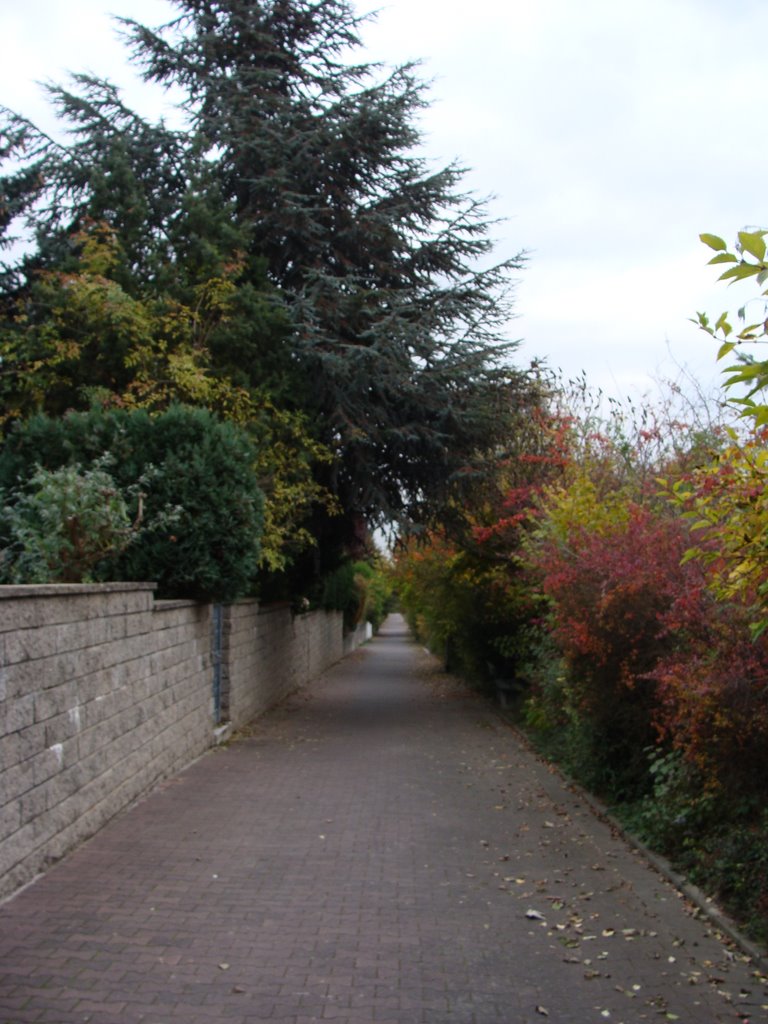 Weg entlang den Straßenbahngleisen by FloMZ