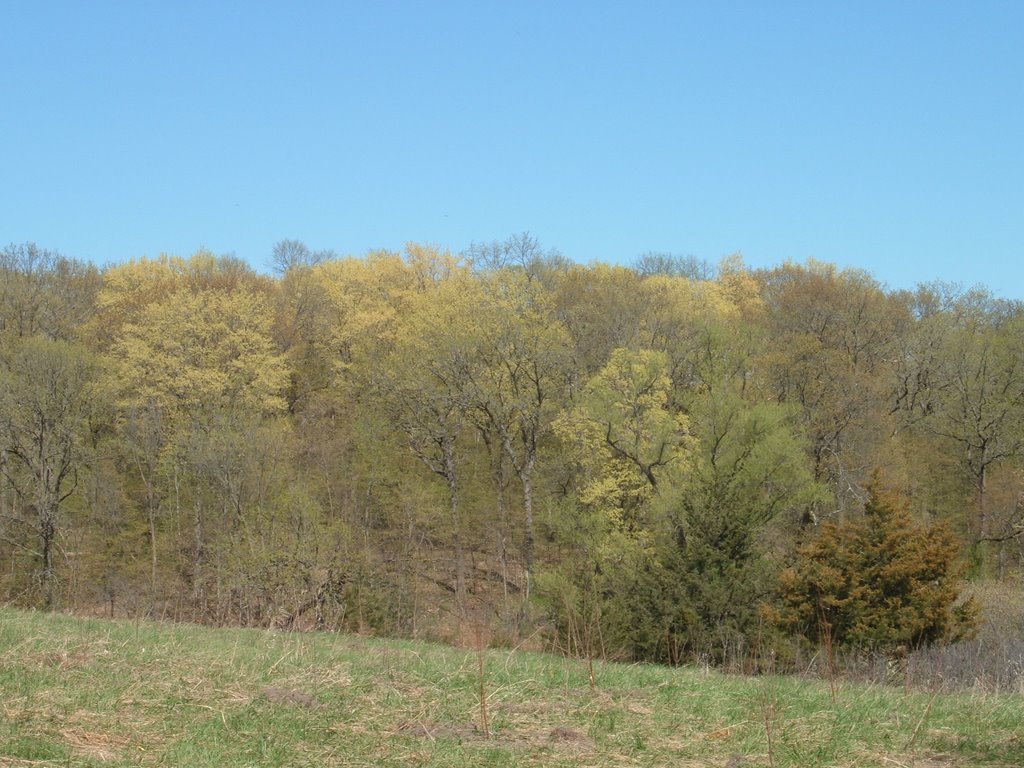 Apr 2006 - Victoria, Minnesota. Spring in Carver Park Reserve. by BRIAN ZINNEL