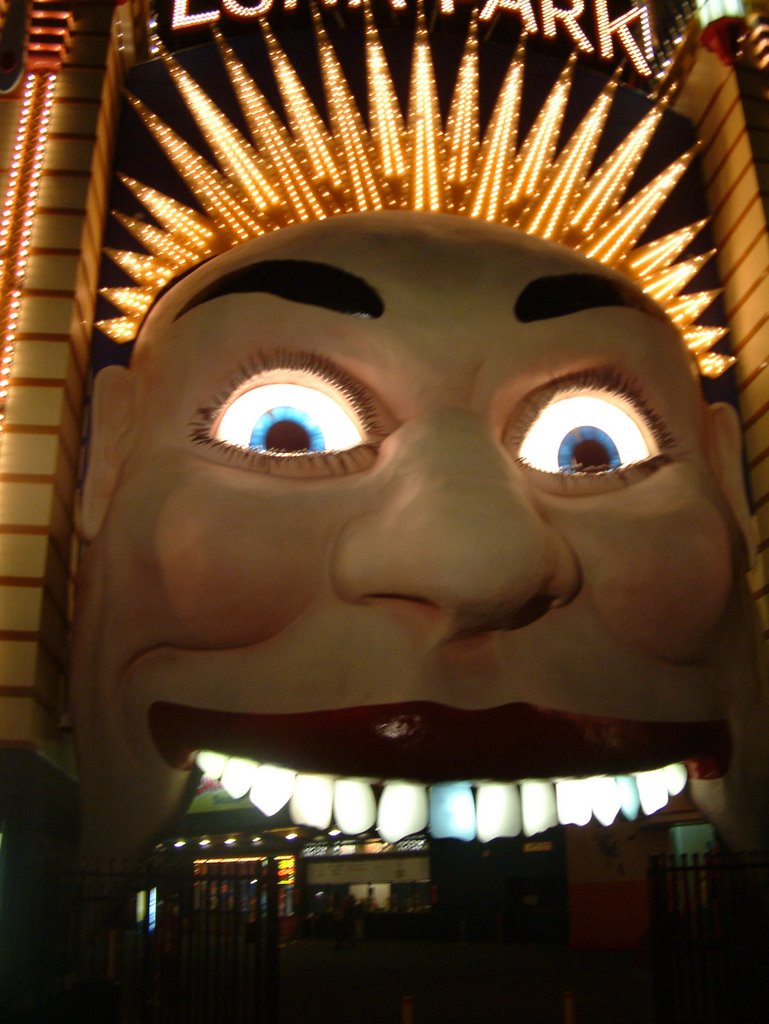 Luna Park at night by deanprice