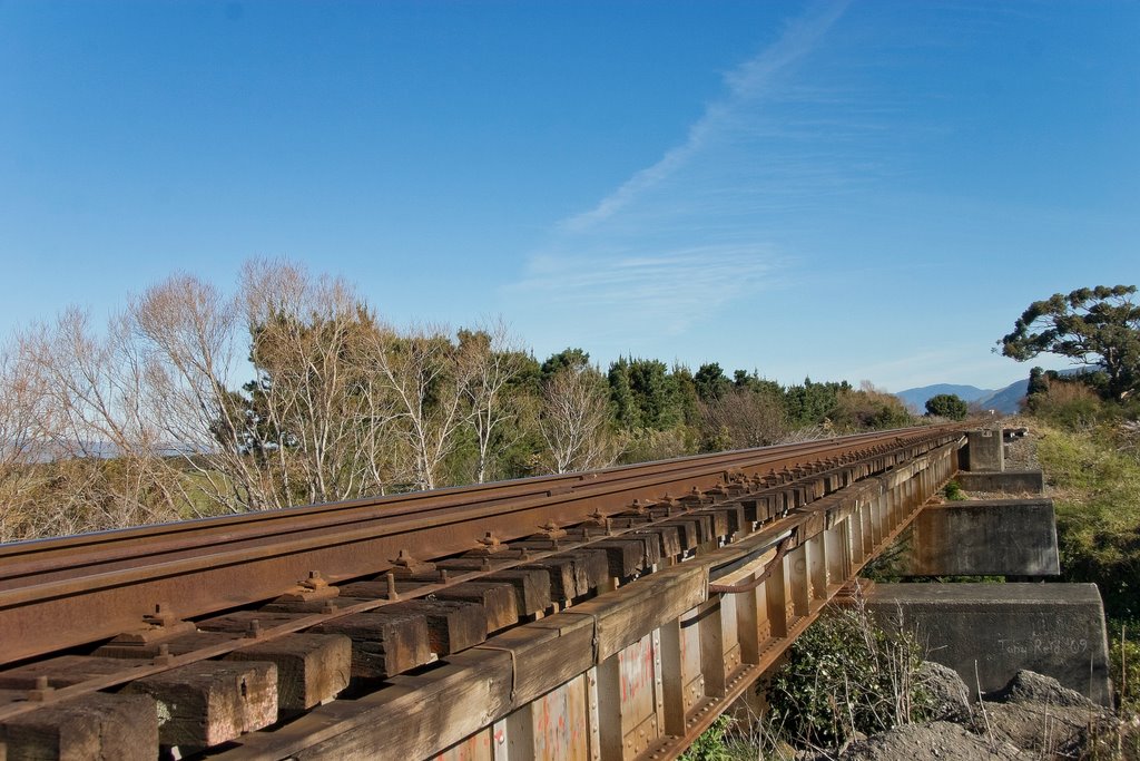 Otauira Rail Bridge by Tony Reid