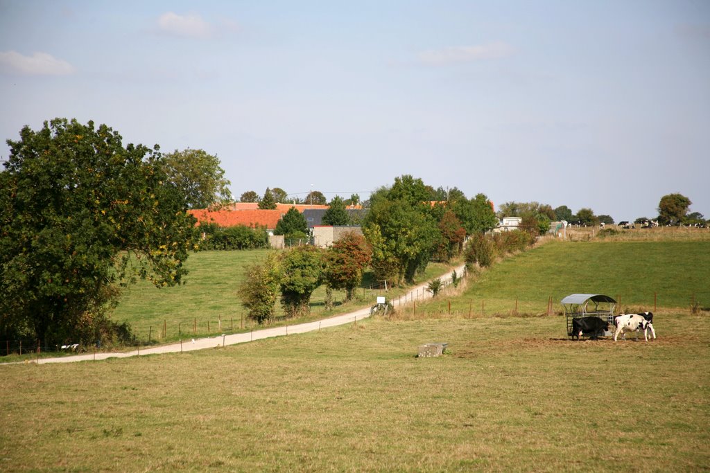 Noyelles-sur-Mer, Somme, Picardie, France by Hans Sterkendries