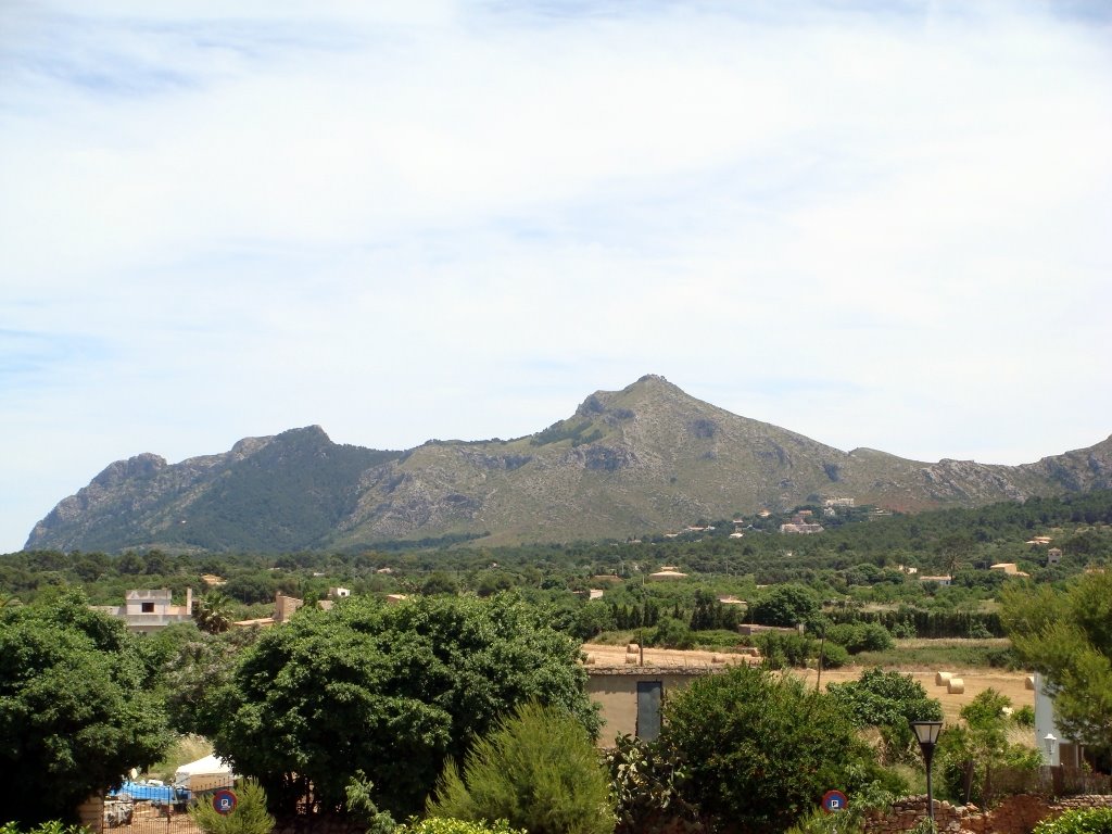 ESPAÑA Islas Baleares, Mallorca, Alcudia by Talavan