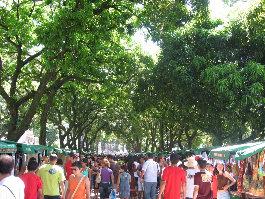 Túnel de Mangueiras na Praça da República by Wagner Pires