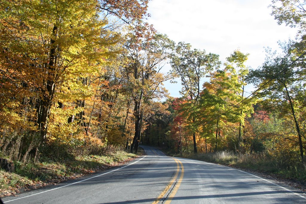 Fall foliage in Johnstown by Ron Shawley