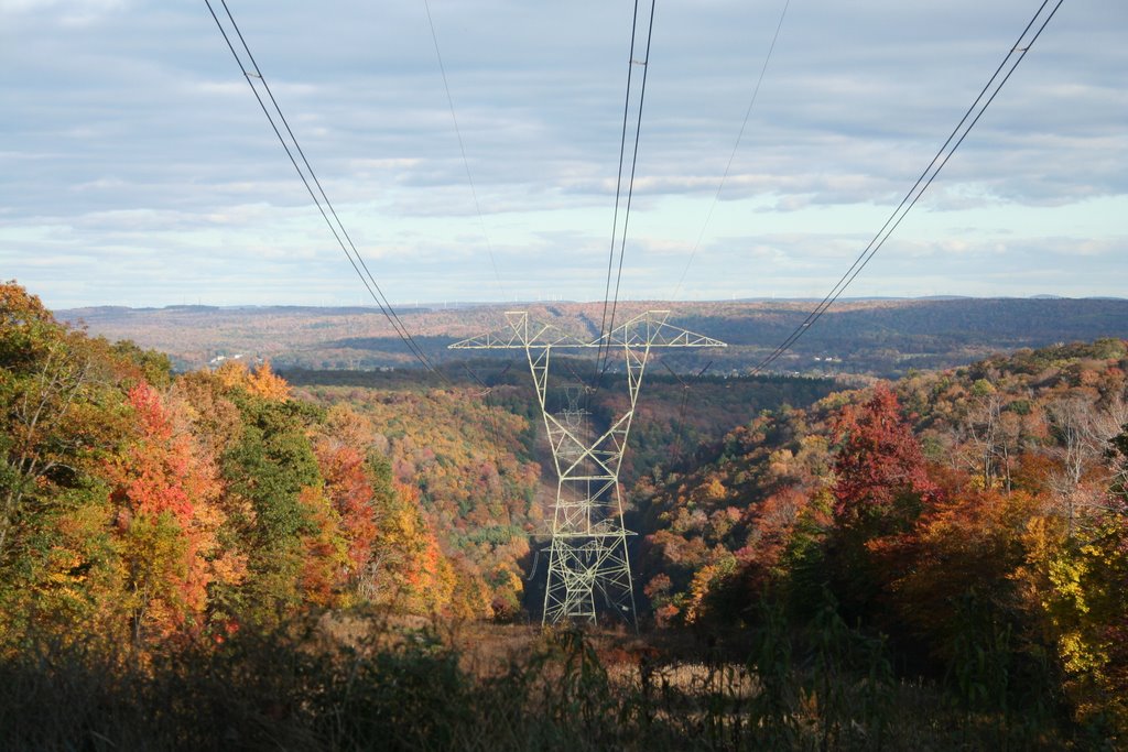 Fall foliage in Johnstown by Ron Shawley