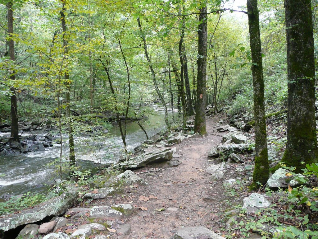 2009_09-19_Petit Jean SP Arkansas_P1080498_Cedar Creek Trail by lightbenders