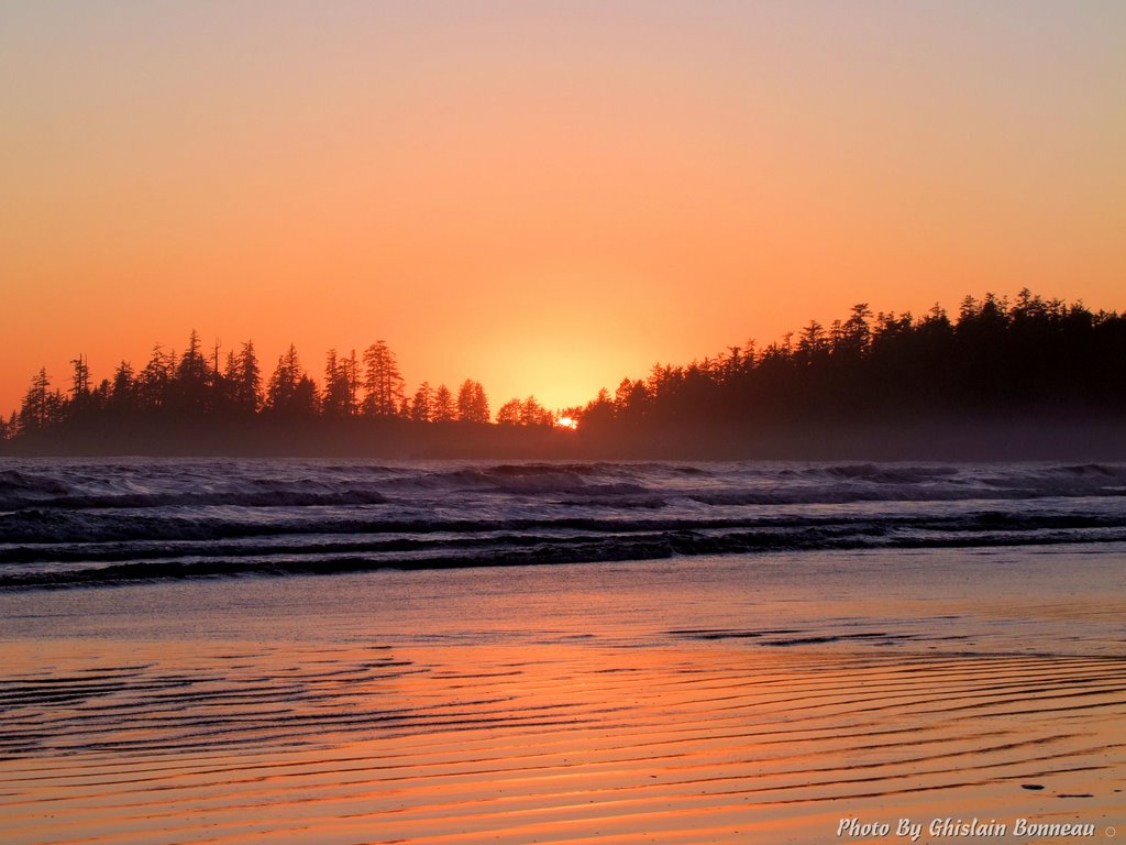 2009-01-15-316-LONG BEACH-TOFINO-B.C.-(More Photos on My Website at gbphotodidactical.com) by GHISLAIN BONNEAU