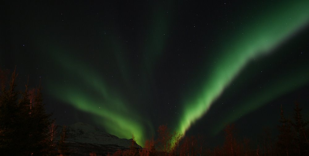 Northern Lights over Salangen by zigmont