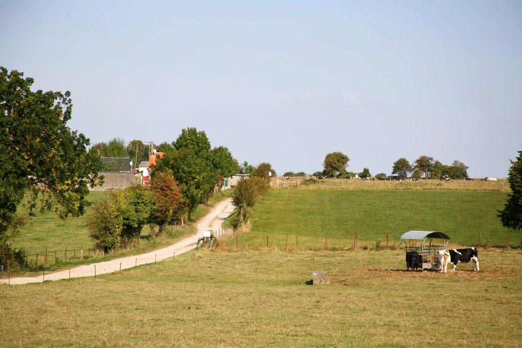 Noyelles-sur-Mer, Somme, Picardie, France by Hans Sterkendries