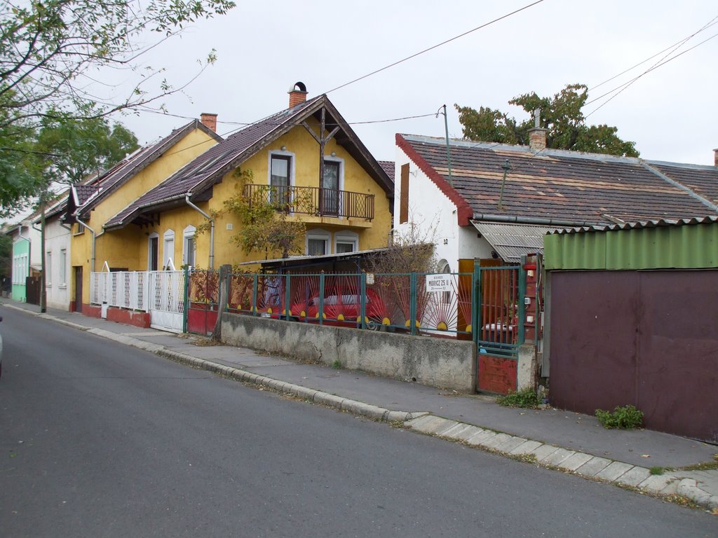 200910291324 Kispesti utcakép, a Szigligeti utca-Móricz Zsigmond utca térségében (View of street, in the 19th district) by Kornél2009