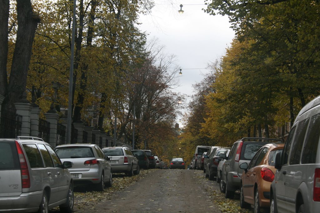 Autumnal view to Helsinki streets 28.10.2009 by Markus Nikkilä Photoshooter86