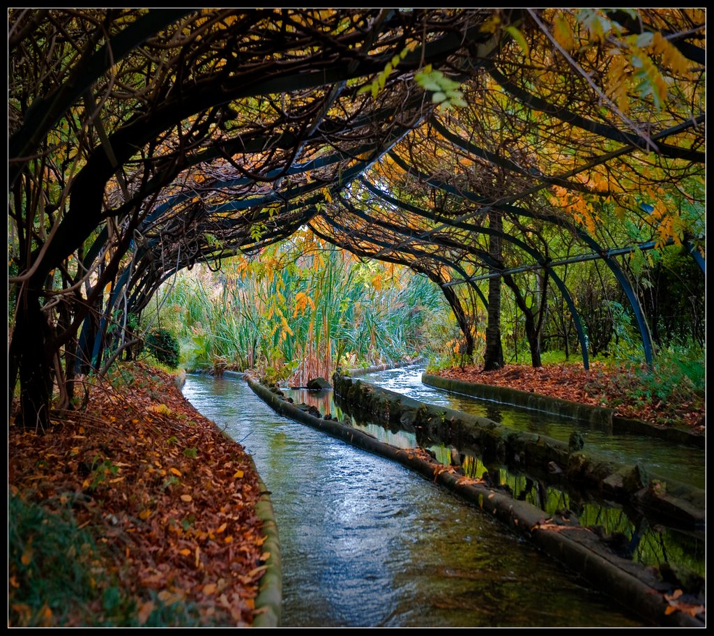 La rivière enchantée du Jardin d'acclimatation by jérôme bastianelli