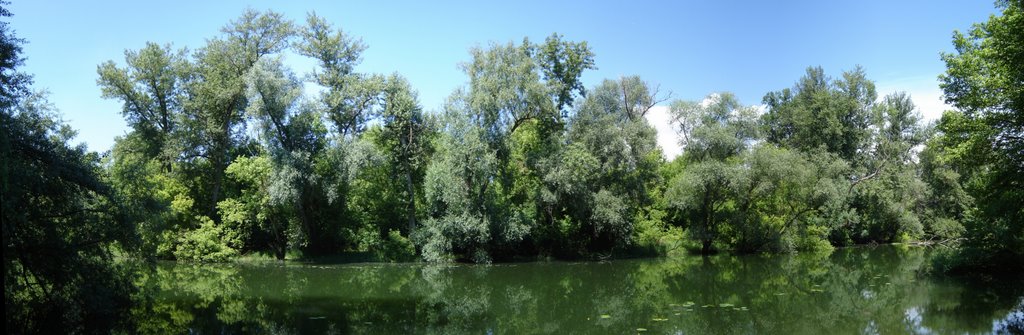 Bellenkrappen im Waldpark by roggae