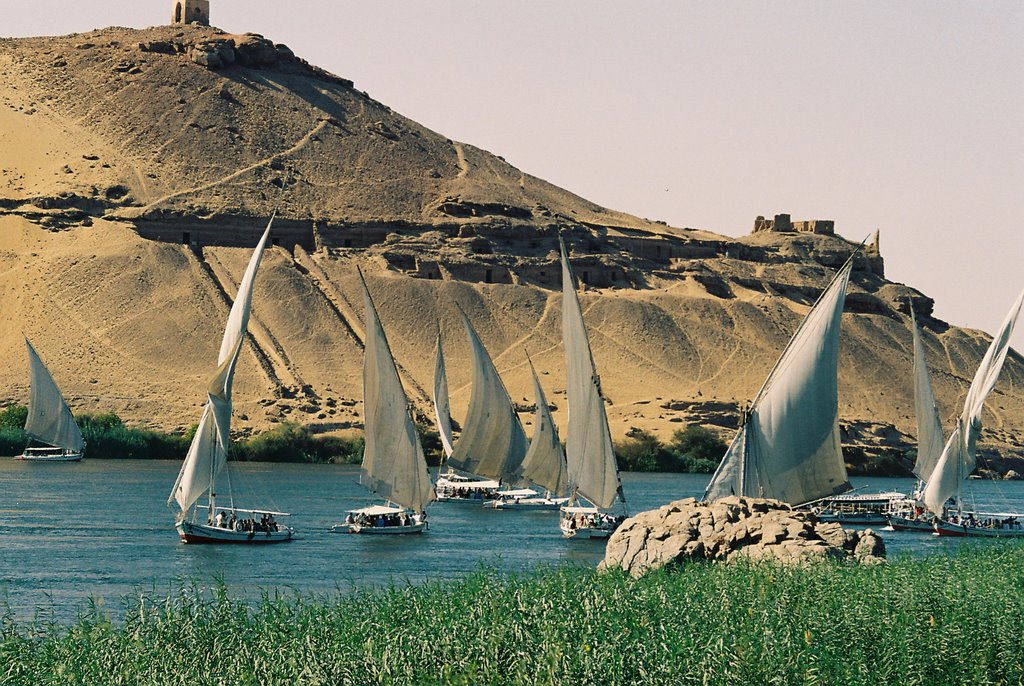 View from Elephantine Island, Aswan by African Ma Ma