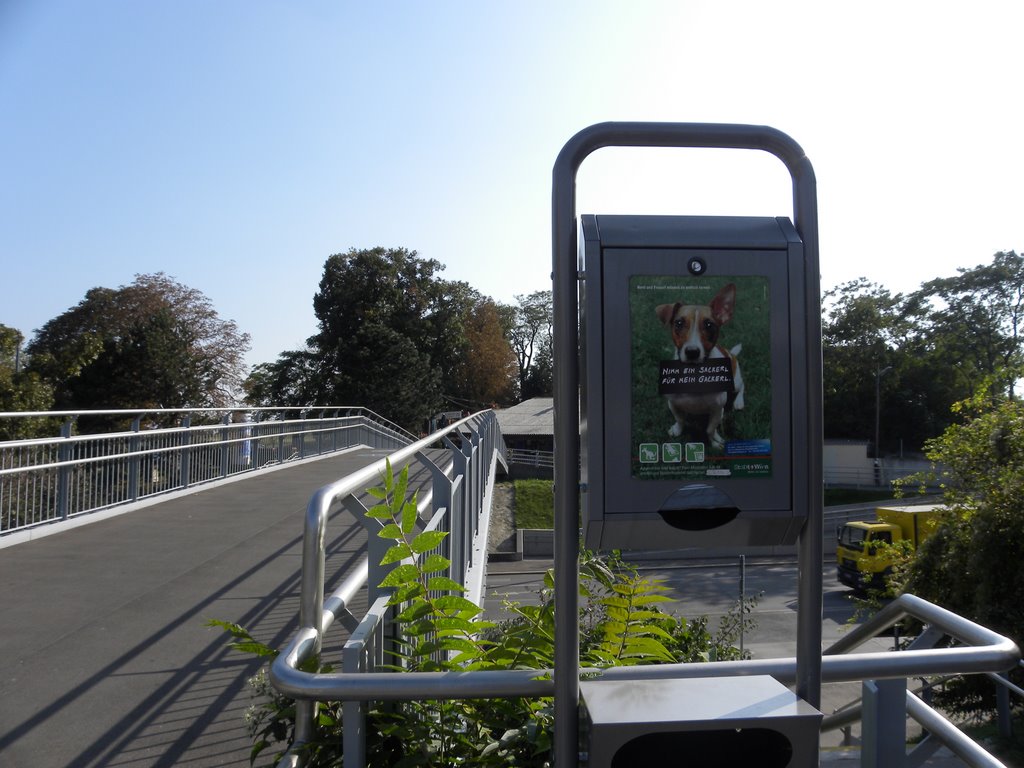 Vorbeiziehende Bäume bei der Flötzersteigbrücke? by Häferl