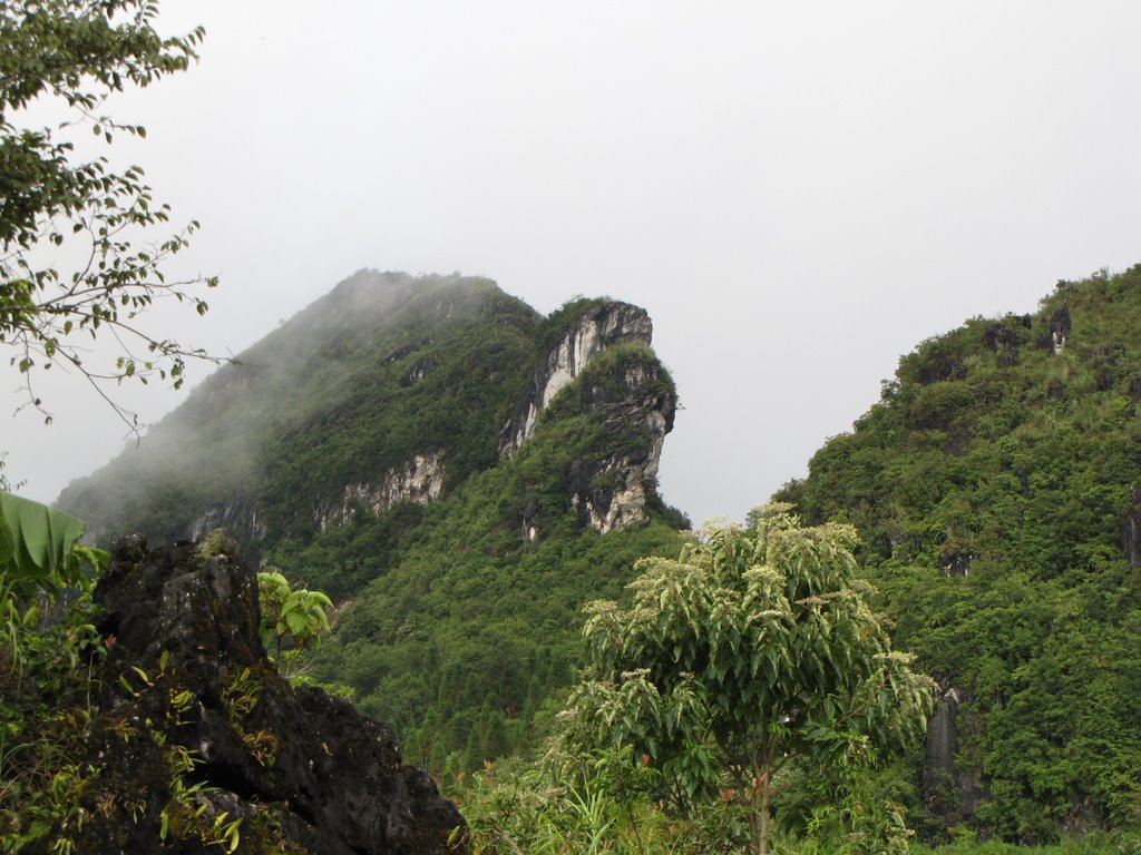 Núi Hàm rồng Sapa by MINHPHÚ