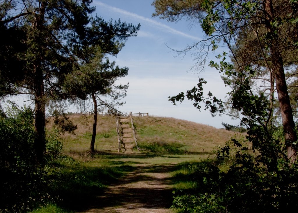 Hill on Vilsterense veld by Hans Gouman