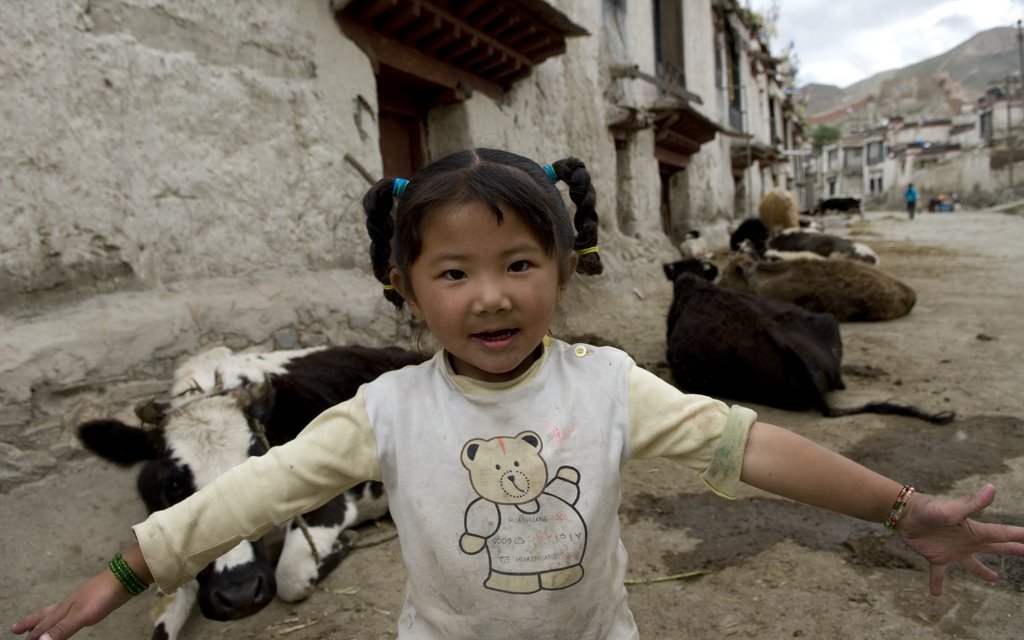 "My Cows!" Cow Street, Gyantse by Qamera.com