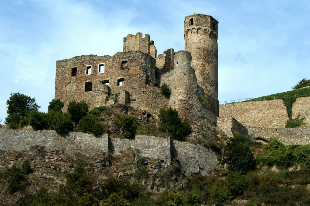 Burg Ehrenfels bei Rüdesheim by wolfbam