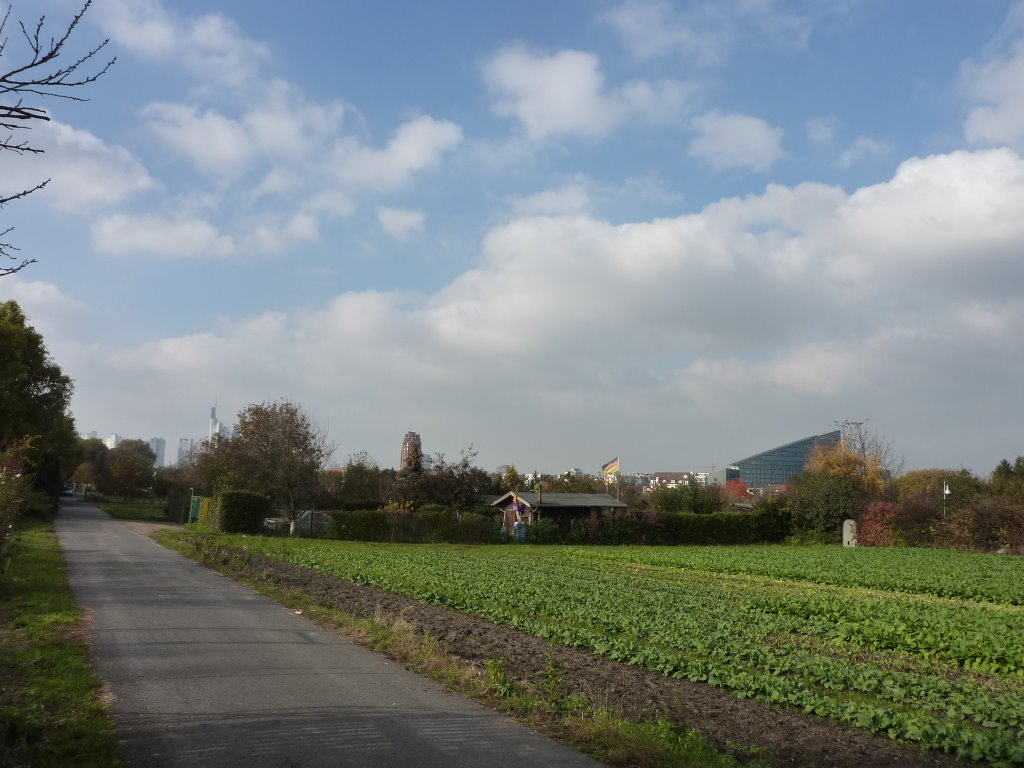 Im freien Feld by Mr.Fotoknips