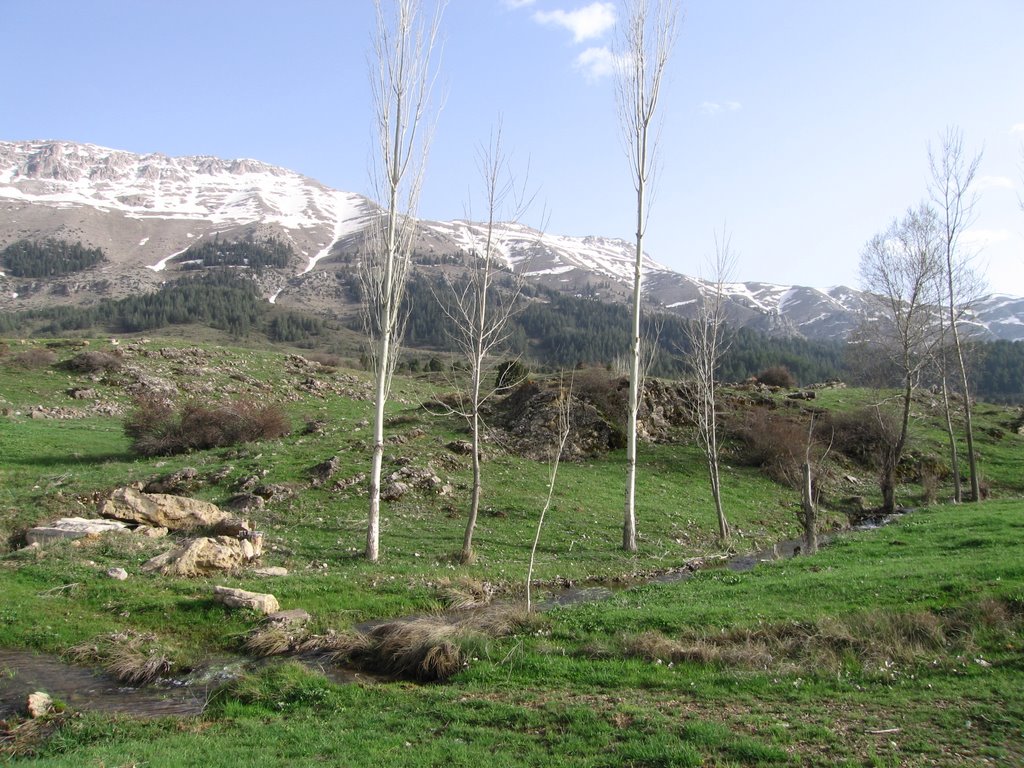 Tufanbeyli dağlarında bahar by Zeynep ÇÖLLÜ