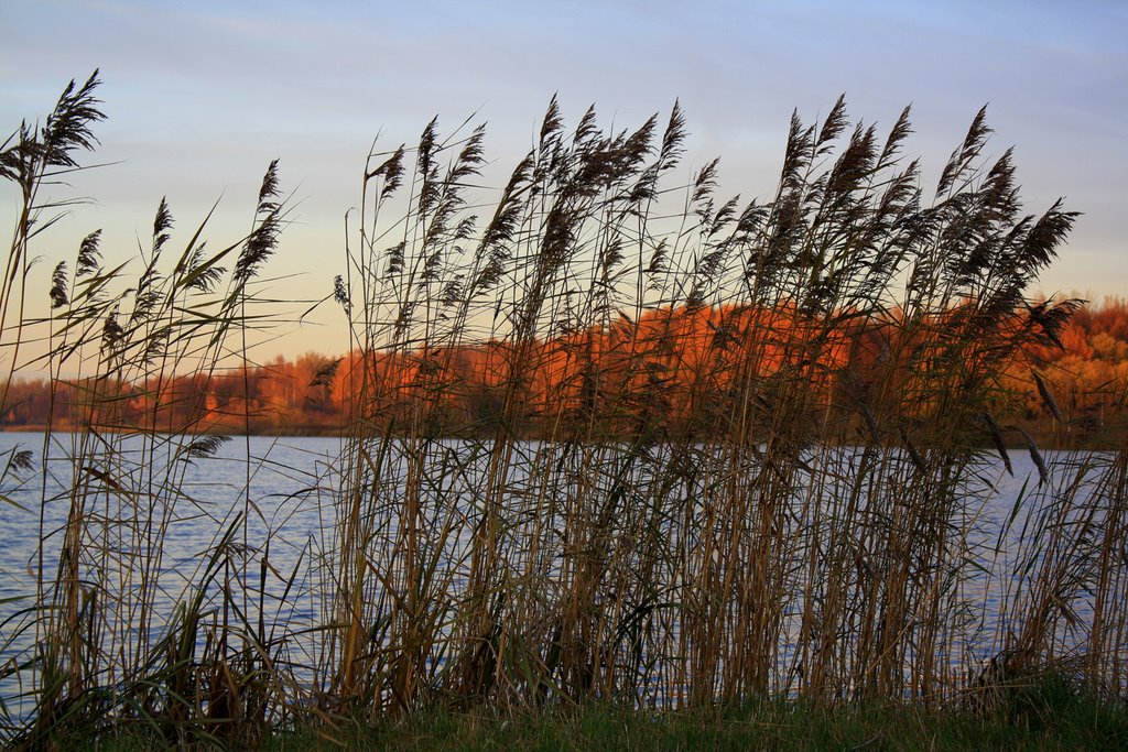 Talsa lake by augustinasplikis