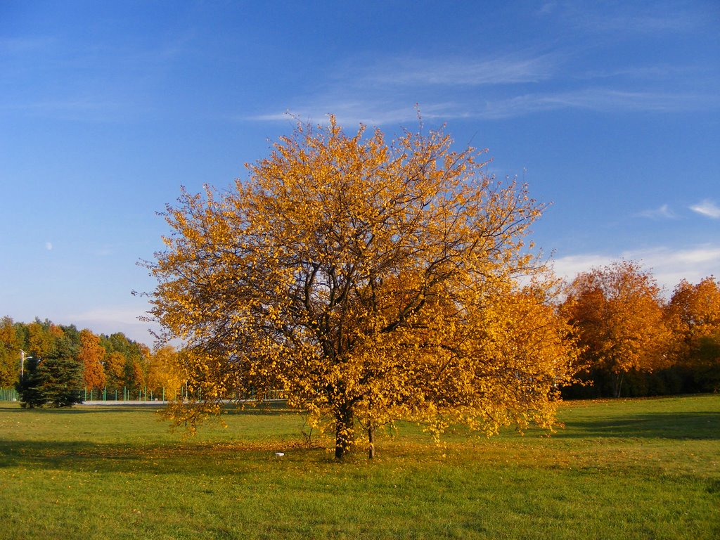 Sofia, park in Student city by Morkovica (D.Grigorova)