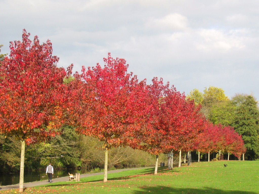 Autumn colours at Riverside Park by bojangles68