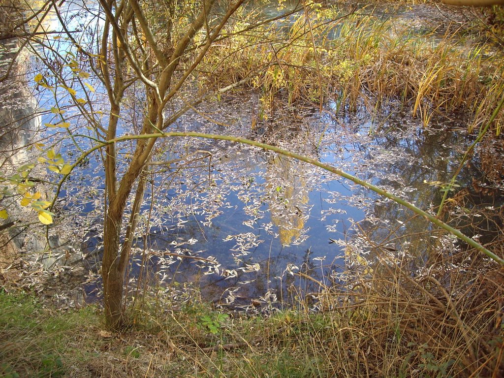 Belleza otoñal cañon de rio lobos soria by noemi46